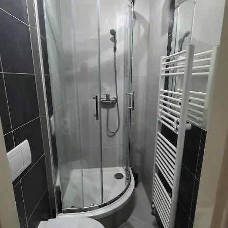 Small Denisa Business Apartament Brno